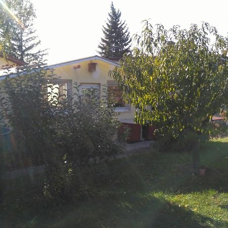 Greenhouse Just 15 Min From The Old Town Bratislava Bagian luar foto