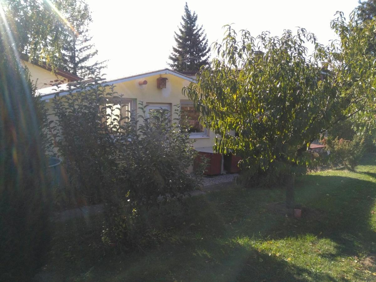 Greenhouse Just 15 Min From The Old Town Bratislava Bagian luar foto
